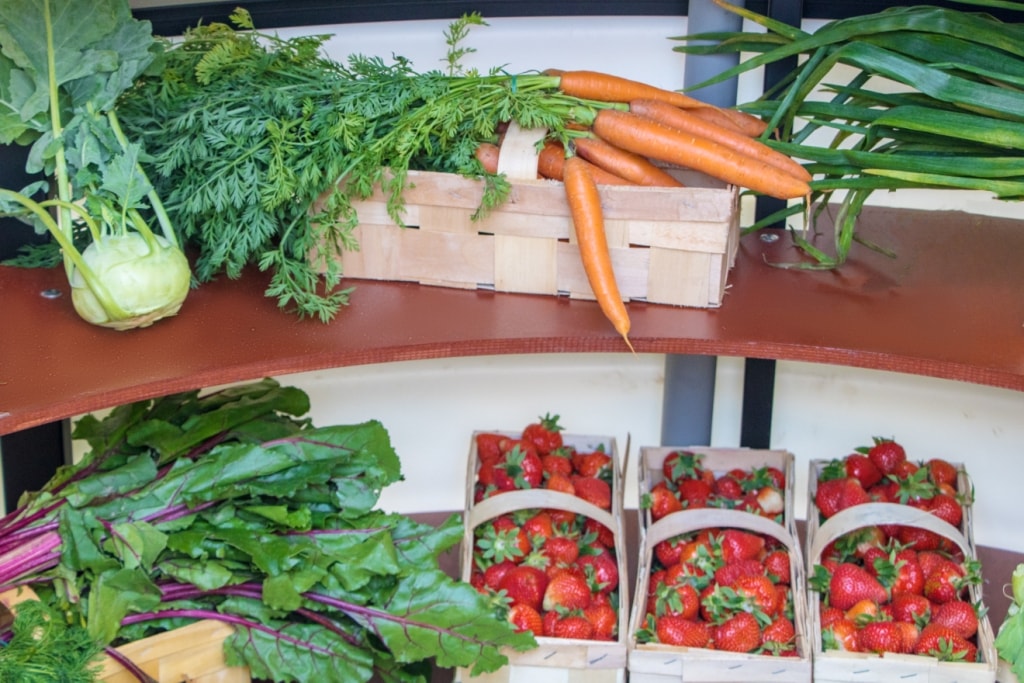 Sklep plastové pro skladování zeleniny a ovoce zeleninová spíže 2,0 m x 1,75 m se šikmým vchodem