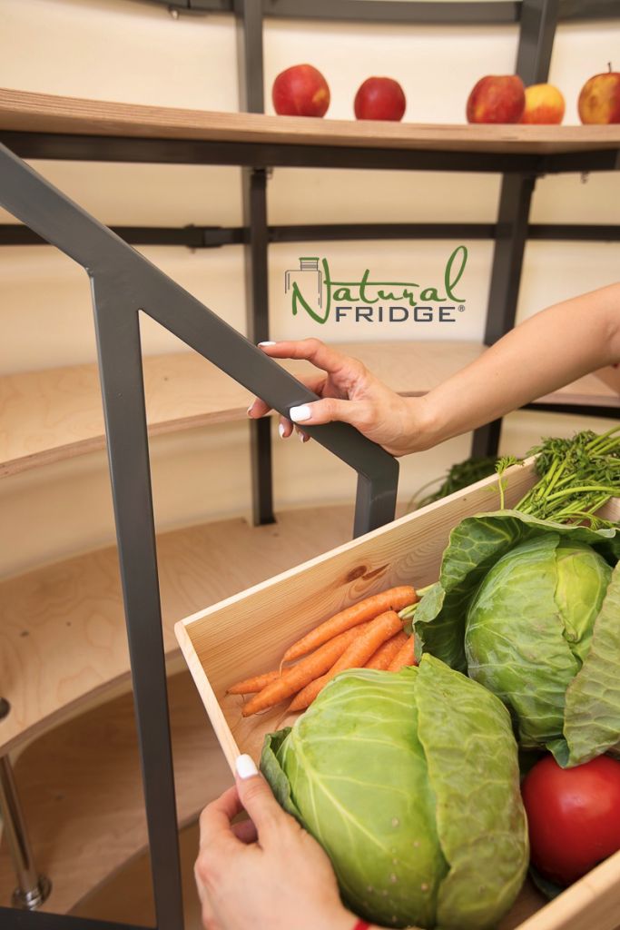 Natural FRIDGE ® Keller im Garten für die Lagerung von Gemüse, Obst und Alkohol, Plastikkeller unterirdisch, Kunststoff Speisekammer, Gartenkeller